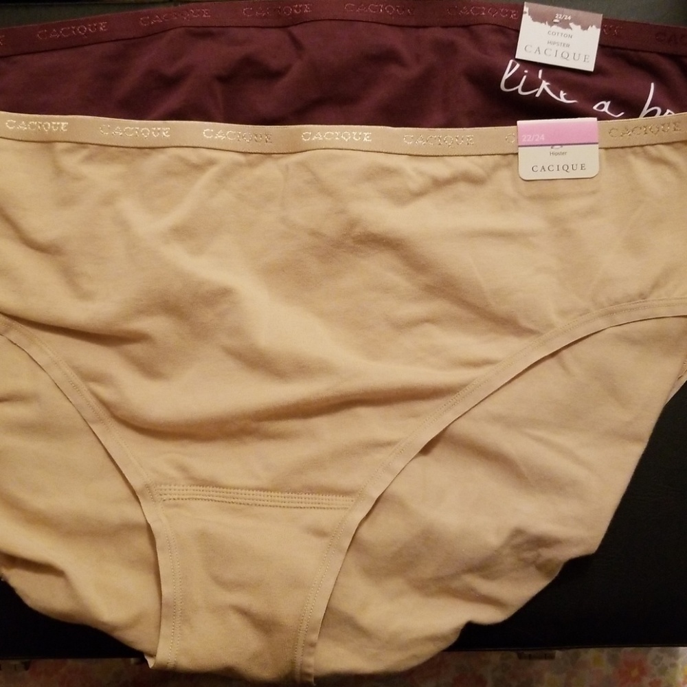Lane Bryant Hipster undies